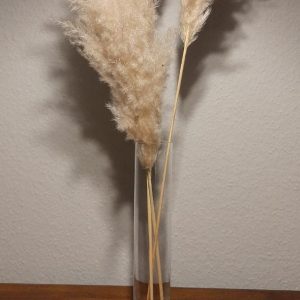 Zylindervase Glas 3er Set